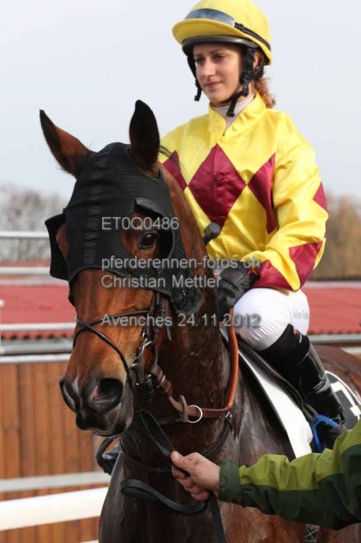 ET0Q0486 prot