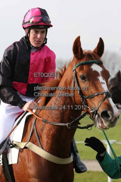 ET0Q0511 prot