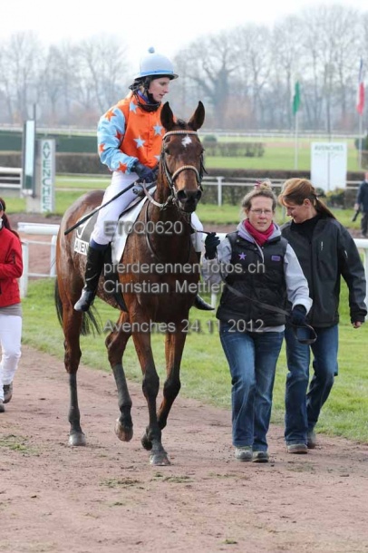 ET0Q0620 prot
