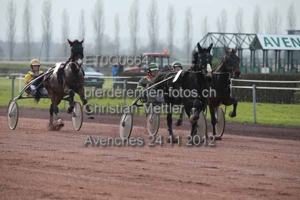 ET0Q0664 prot