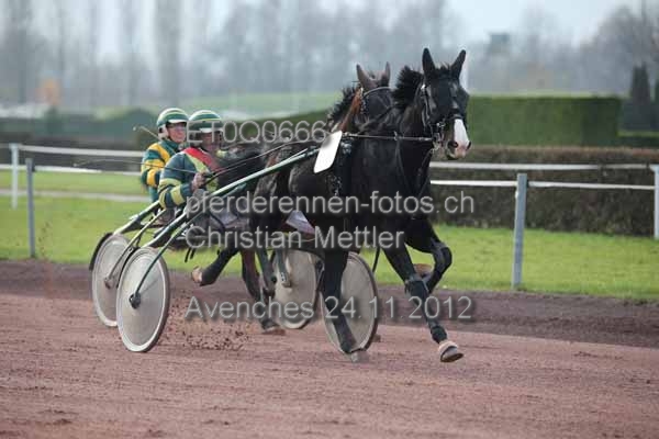 ET0Q0666 prot