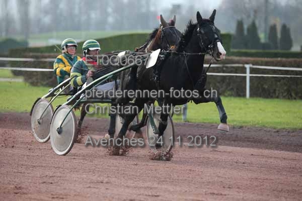 ET0Q0667 prot