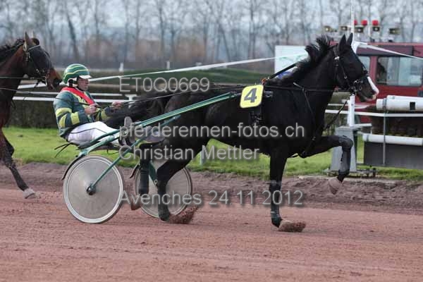 ET0Q0669 prot