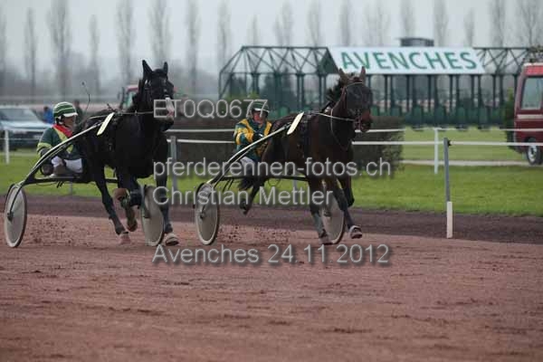 ET0Q0677 prot