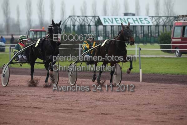 ET0Q0678 prot