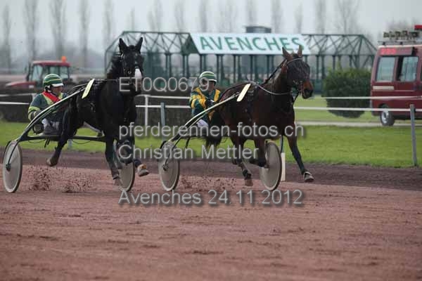 ET0Q0679 prot