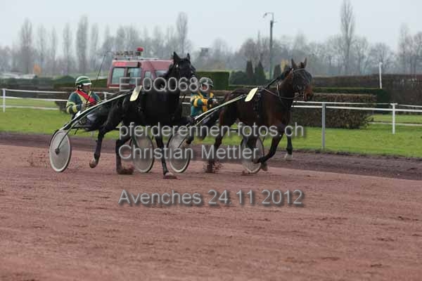 ET0Q0683 prot
