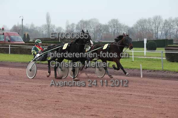 ET0Q0685 prot