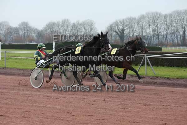 ET0Q0689 prot