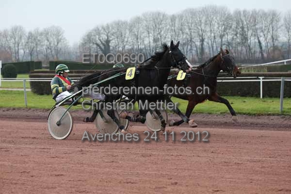 ET0Q0690 prot