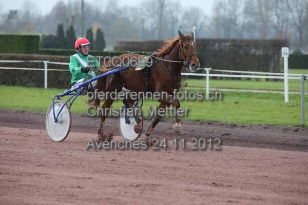 ET0Q0699 prot