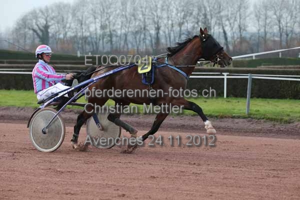ET0Q0704 prot