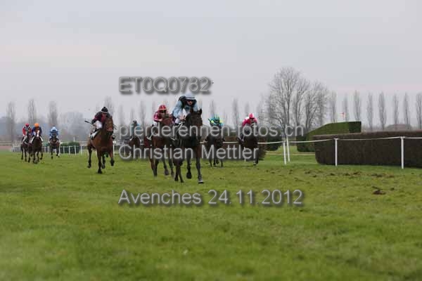 ET0Q0782 prot