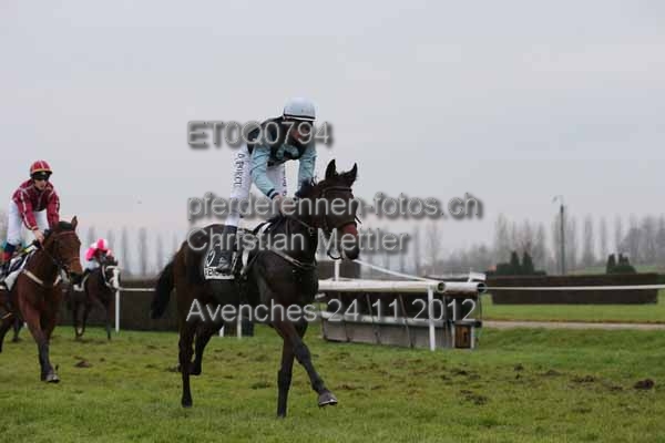 ET0Q0794 prot