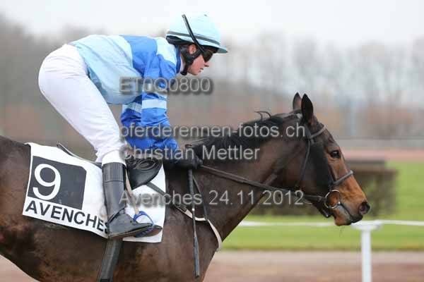 ET0Q0800 prot