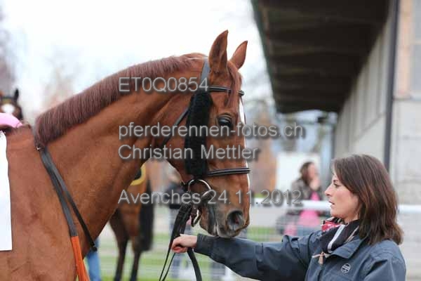 ET0Q0854 prot
