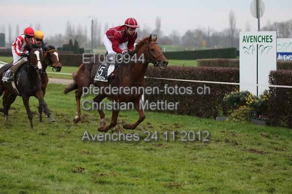 ET0Q0944 prot