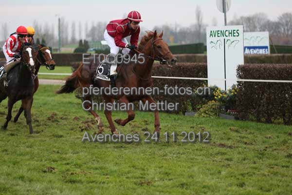 ET0Q0945 prot