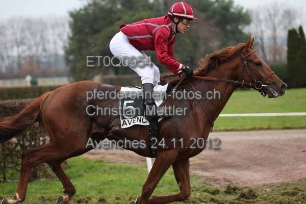 ET0Q0954 prot
