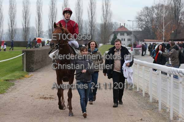 ET0Q0959 prot