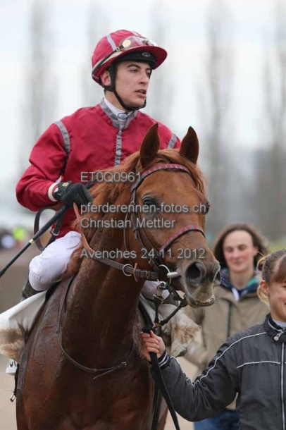 ET0Q0961 prot