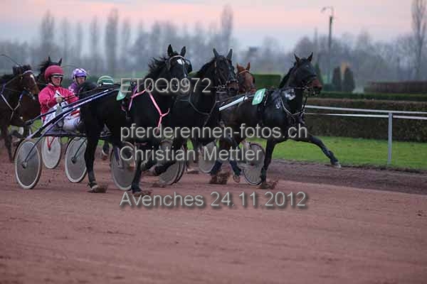 ET0Q0972 prot