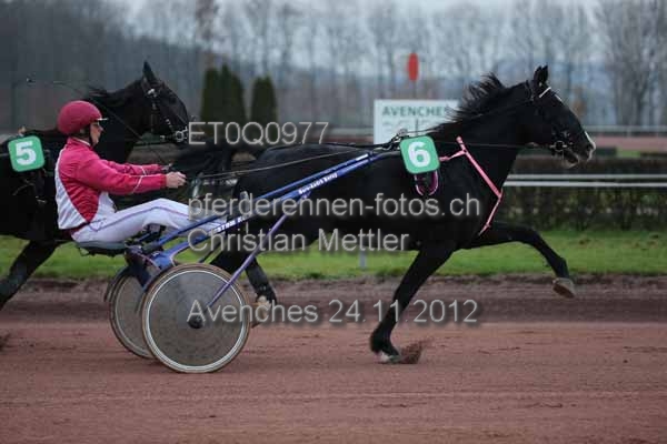 ET0Q0977 prot