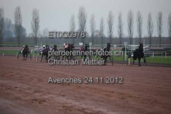 ET0Q0978 prot