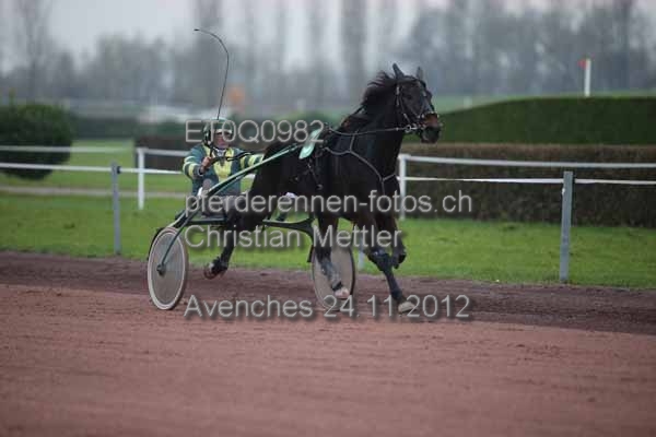 ET0Q0982 prot