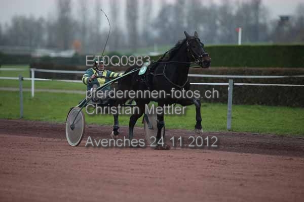 ET0Q0983 prot
