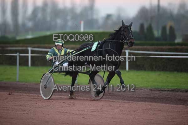 ET0Q0986 prot