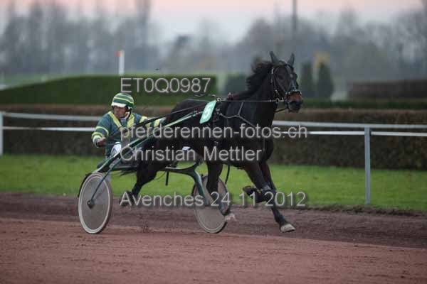 ET0Q0987 prot