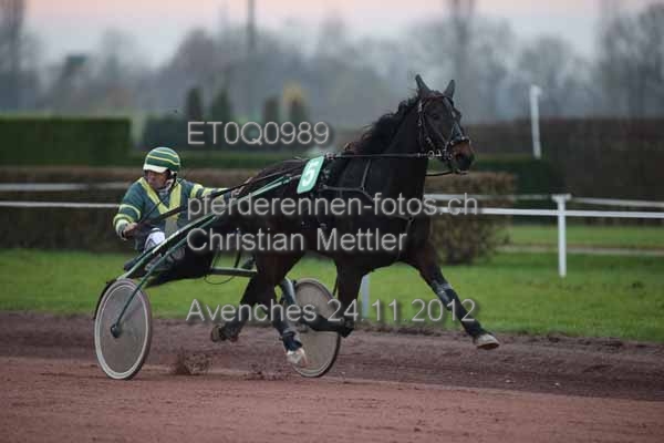 ET0Q0989 prot