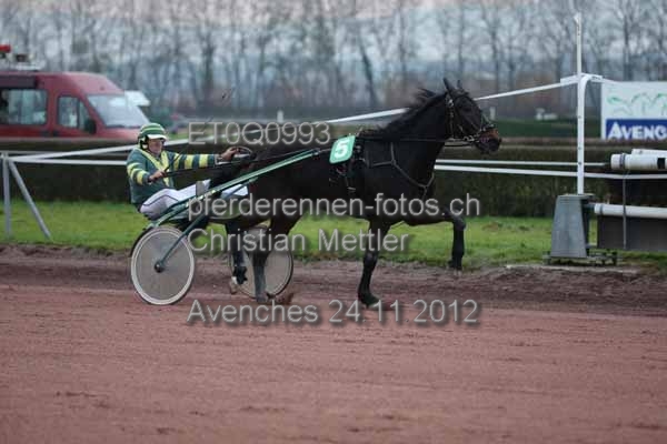 ET0Q0993 prot