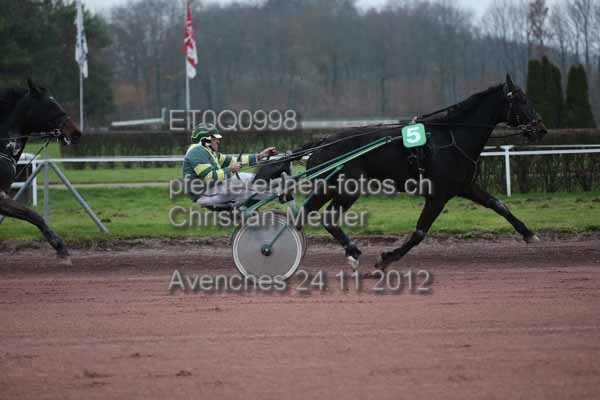ET0Q0998 prot