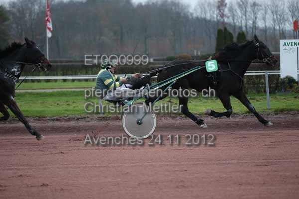 ET0Q0999 prot