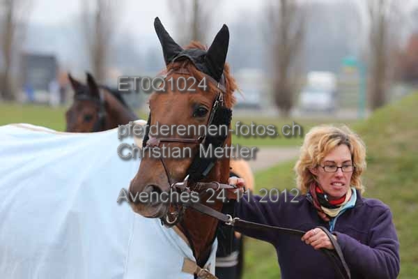 ET0Q1024 prot