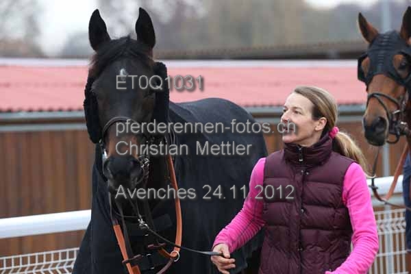 ET0Q1031 prot