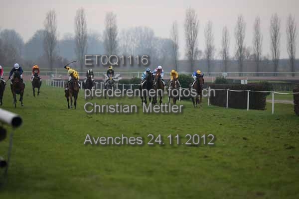 ET0Q1116 prot