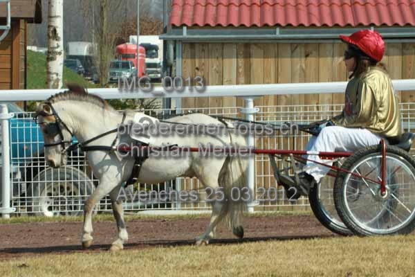 IMG 0013 prot