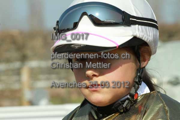 IMG 0017 prot