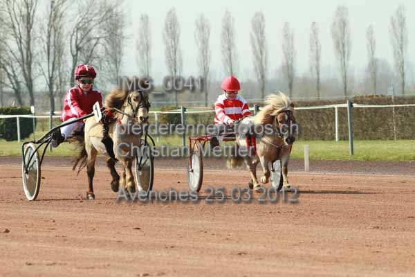 IMG 0041 prot