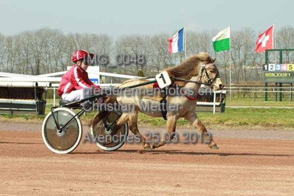 IMG 0048 prot