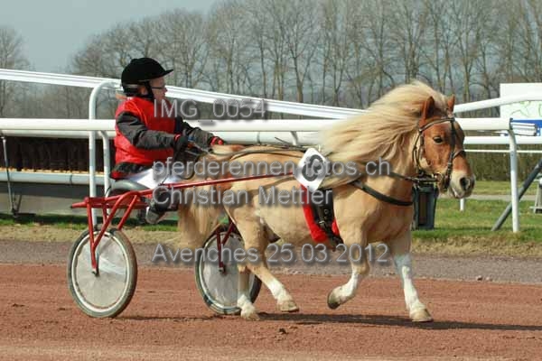 IMG 0054 prot