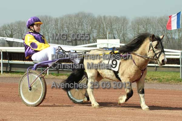 IMG 0055 prot