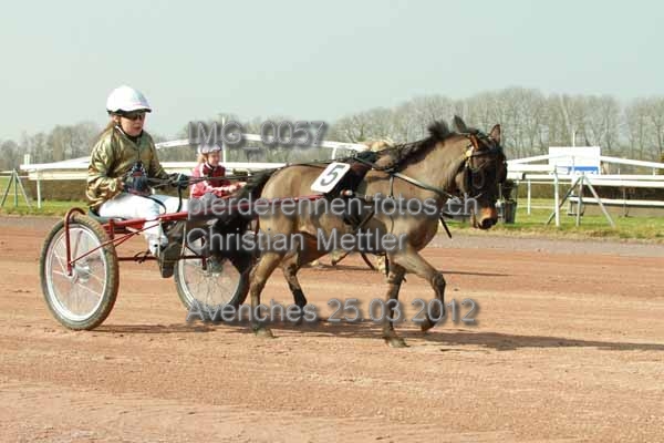 IMG 0057 prot