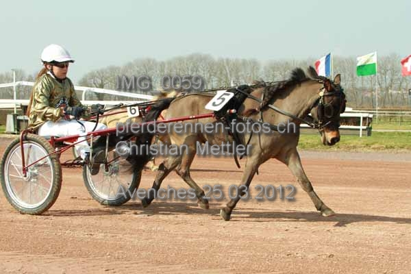IMG 0059 prot
