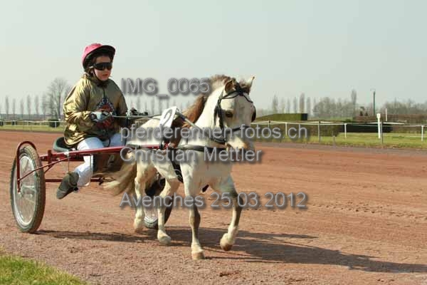 IMG 0065 prot