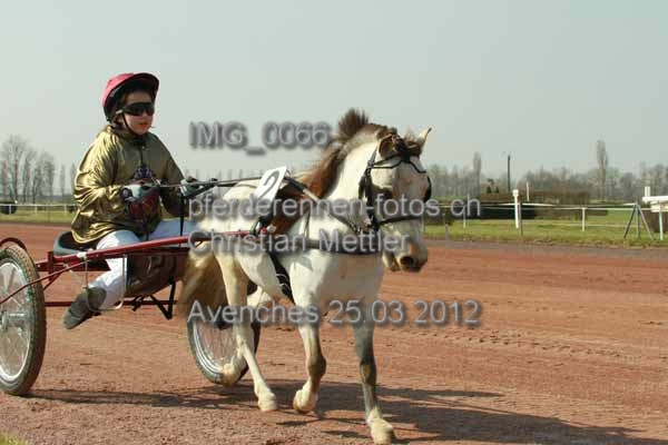 IMG 0066 prot