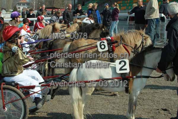 IMG 0078 prot